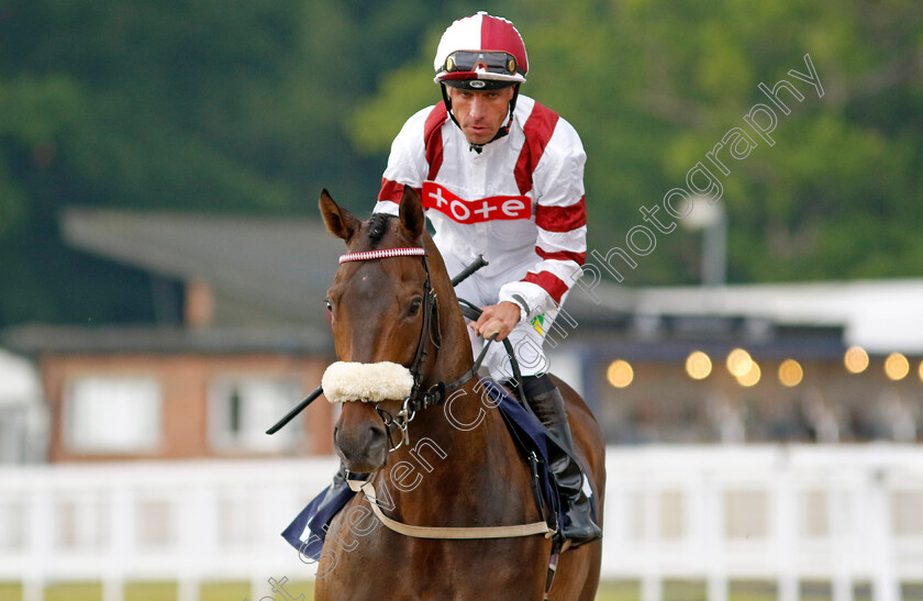 Intrinsic-Bond 
 INTRINSIC BOND (Dale Swift)
Newcastle 24 Jun 2022 - Pic Steven Cargill / Racingfotos.com