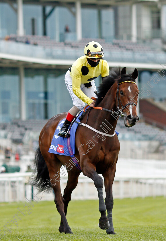 Throne-Hall-0001 
 THRONE HALL (Andrea Atzeni)
York 12 May 2021 - Pic Steven Cargill / Racingfotos.com