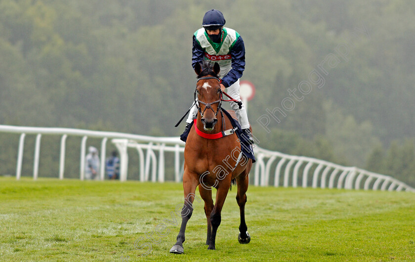 Rhubarb-0001 
 RHUBARB (George Rooke)
Chepstow 9 Jul 2020 - Pic Steven Cargill / Racingfotos.com