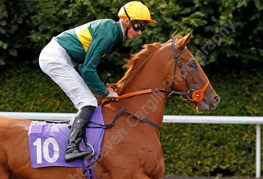 Fregola-0001 
 FREGOLA (Alec Voikhansky)
Kempton 7 Aug 2024 - Pic Steven Cargill / Racingfotos.com