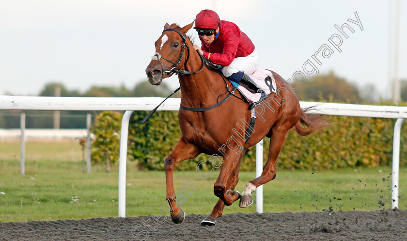 Maximum-Effect-0003 
 MAXIMUM EFFECT (Nicky Mackay) wins The Close Brothers Business Finance Maiden Fillies Stakes
Kempton 9 Oct 2019 - Pic Steven Cargill / Racingfotos.com