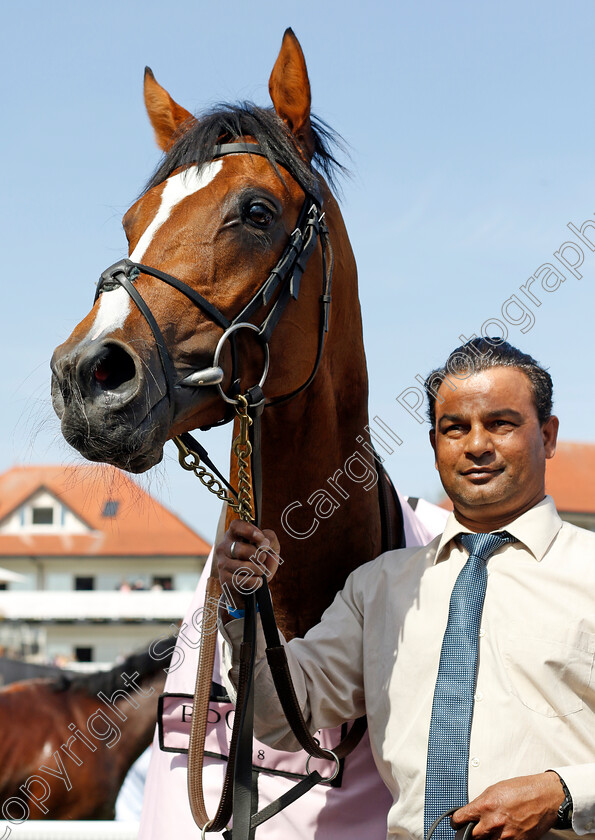 Capulet-0011 
 CAPULET winner of The Boodles Raindance Dee Stakes
Chester 9 May 2024 - Pic Steven Cargill / Racingfotos.com