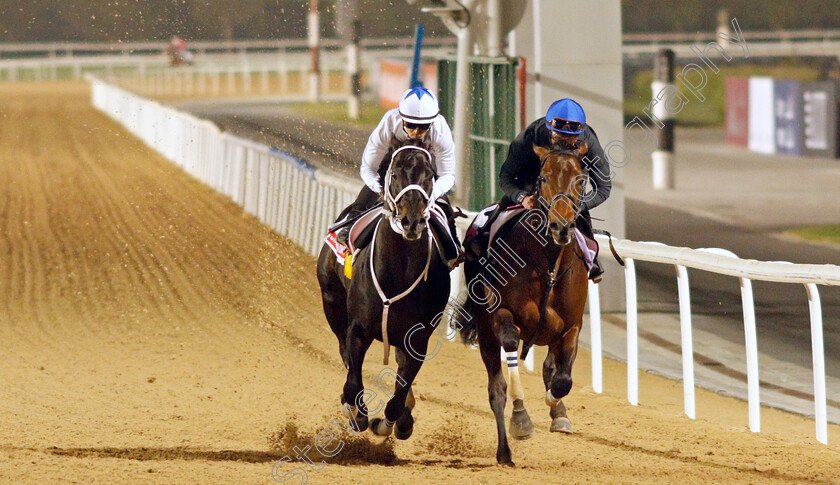 Chuwa-Wizard-and-Combustion-0002 
 CHUWA WIZARD (left) training for the Dubai World Cup with COMBUSTION (right), training for the UAE Derby
Meydan, Dubai, 23 Mar 2022 - Pic Steven Cargill / Racingfotos.com