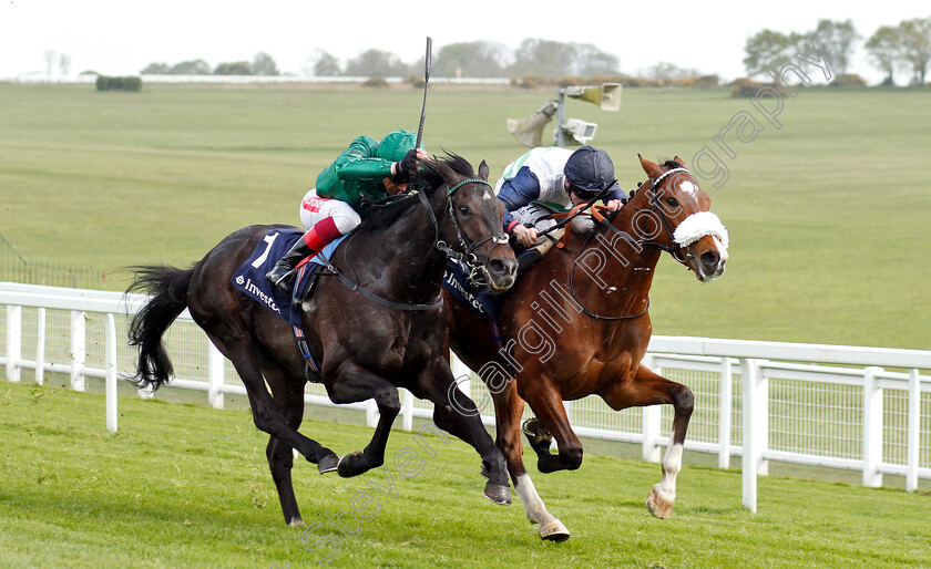 Le-Don-De-Vie-0003 
 LE DON DE VIE (right, Oisin Murphy) beats CASANOVA (left) in The Investec Wealth Novice Stakes
Epsom 24 Apr 2019 - Pic Steven Cargill / Racingfotos.com