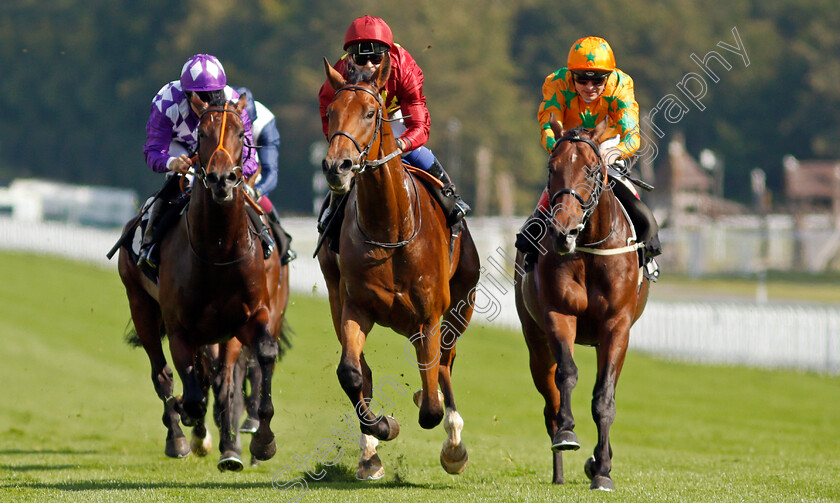 War-Horse-0005 
 WAR HORSE (centre, Marco Ghiani) beats SUPER STARS (right) and HAPAP (left) in The Ryan Canter Club Future Stayers EBF Maiden Stakes
Goodwood 22 Sep 2021 - Pic Steven Cargill / Racingfotos.com