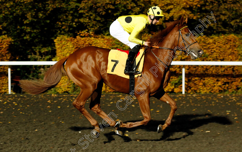 Matsuri-0006 
 MATSURI (Jack Mitchell) winner of The Unibet Zero% Mission British Stallion Studs EBF Fillies Novice Stakes Div2
Kempton 15 Nov 2023 - Pic Steven Cargill / Racingfotos.com