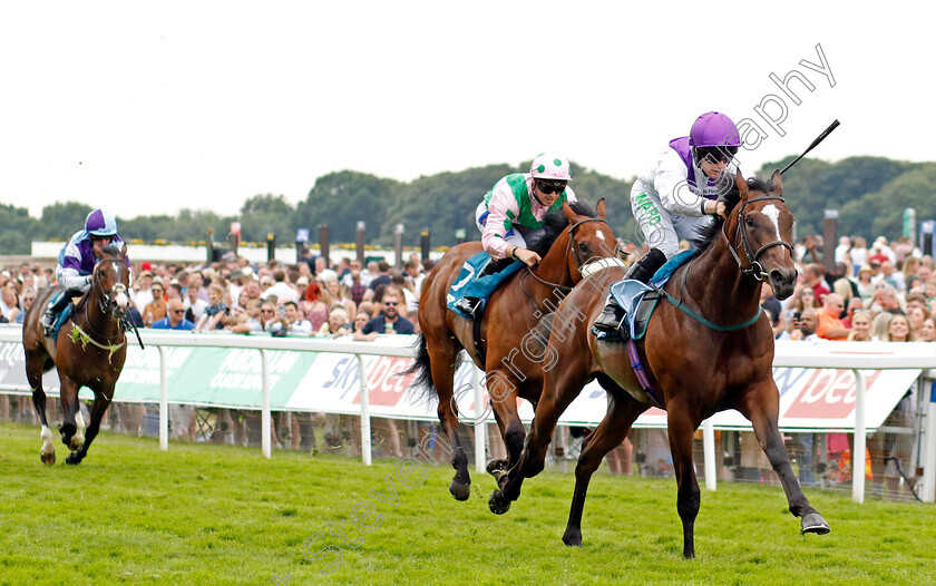 Twilight-Romance-0004 
 TWILIGHT ROMANCE (Jason Hart) wins The Reg Griffin Appreciation EBFstallions.com Maiden Stakes
York 17 Jun 2023 - Pic Steven Cargill / Racingfotos.com