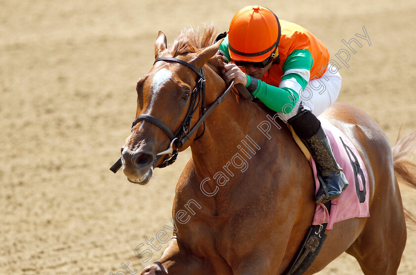 Cosita-Mia-0007 
 COSITA MIA (Joel Rosario) wins Maiden Special Weight
Belmont Park 7 Jun 2018 - Pic Steven Cargill / Racingfotos.com