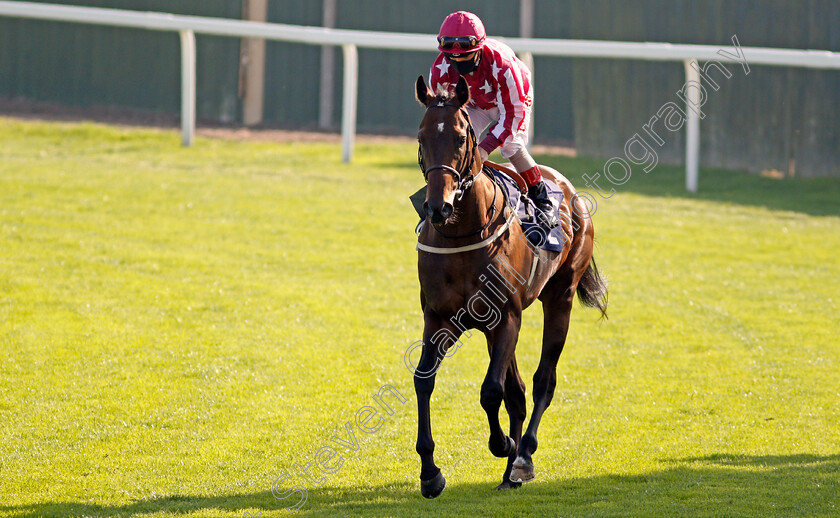 Majd-Al-Arab-0001 
 MAJD AL ARAB (Franny Norton)
Yarmouth 15 Sep 2020 - Pic Steven Cargill / Racingfotos.com