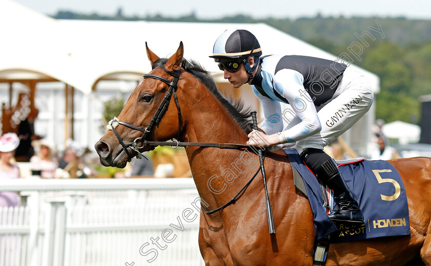 Naval-Force-0002 
 NAVAL FORCE (Gavin Ryan)
Royal Ascot 20 Jun 2024 - Pic Steven Cargill / Racingfotos.com