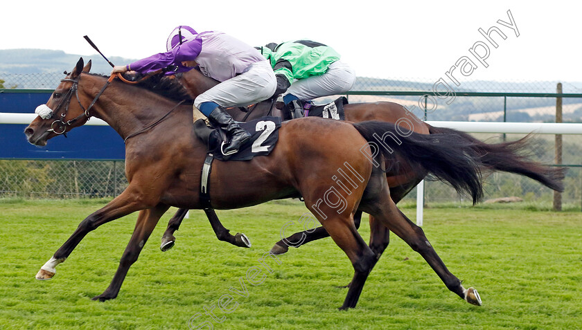 Secret-Shadow-0004 
 SECRET SHADOW (William Buick) wins The William Hill Best Odds Guaranteed Handicap
Goodwood 27 Aug 2022 - Pic Steven Cargill / Racingfotos.com