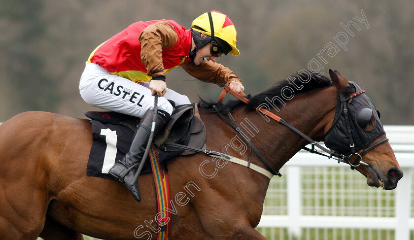 Graceful-Legend-0007 
 GRACEFUL LEGEND (Max Kendrick) wins The Be Wiser Insurance Handicap Chase
Newbury 22 Mar 2019 - Pic Steven Cargill / Racingfotos.com