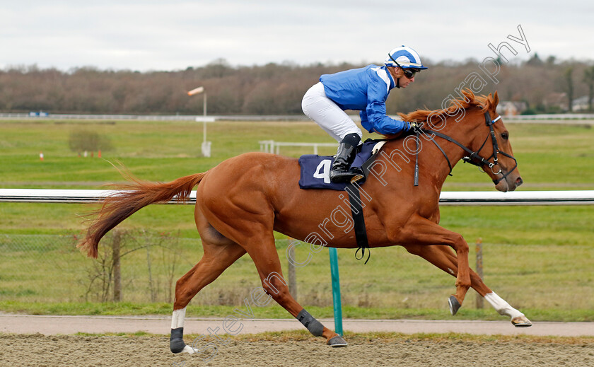 Waleefy-0001 
 WALEEFY (Greg Cheyne)
Lingfield 23 Dec 2023 - Pic Steven Cargill / Racingfotos.com