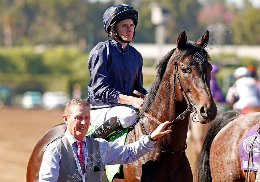 Arizona-0001 
 ARIZONA (Ryan Moore)
Santa Anita 1 Nov 2019 - Pic Steven Cargill / Racingfotos.com