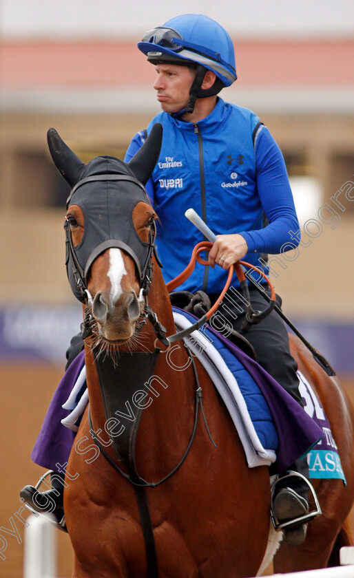 Masar-0001 
 MASAR exercising at Del Mar USA in preparation for The Breeders' Cup Juvenile Turf 30 Oct 2017 - Pic Steven Cargill / Racingfotos.com