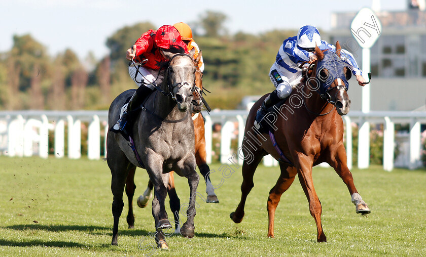 Silver-Quartz-0002 
 SILVER QUARTZ (left, James Doyle) beats ZWAYYAN (right) in The Weatherbys Handicap
Ascot 7 Sep 2018 - Pic Steven Cargill / Racingfotos.com