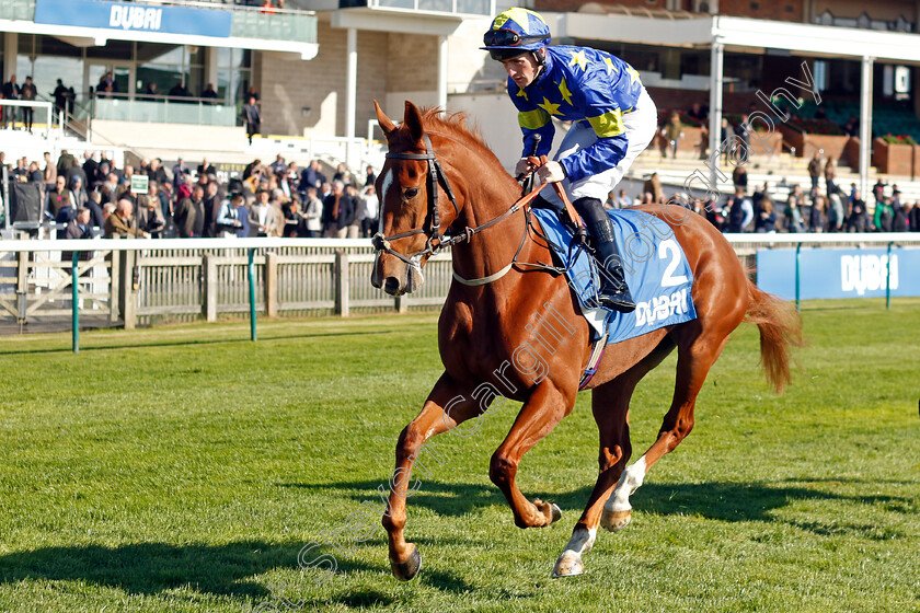 Celestias-Comet-0001 
 CELESTIAS COMET (Dylan Hogan)
Newmarket 11 Oct 2024 - Pic Steven Cargill / Racingfotos.com