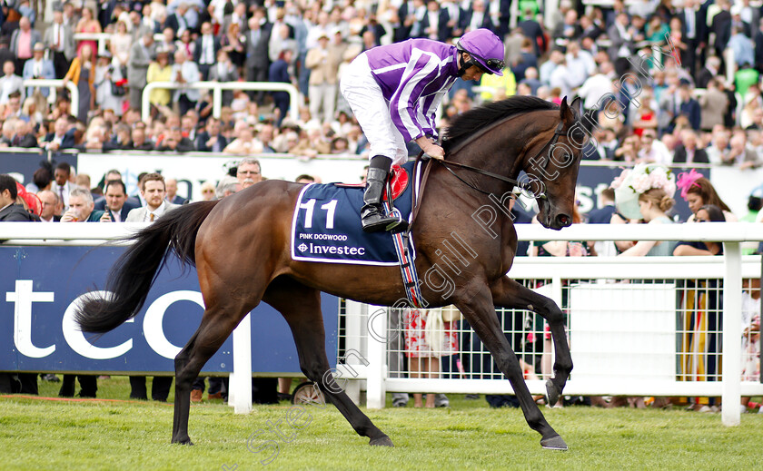 Pink-Dogwood-0002 
 PINK DOGWOOD (Ryan Moore)
Epsom 31 May 2019 - Pic Steven Cargill / Racingfotos.com