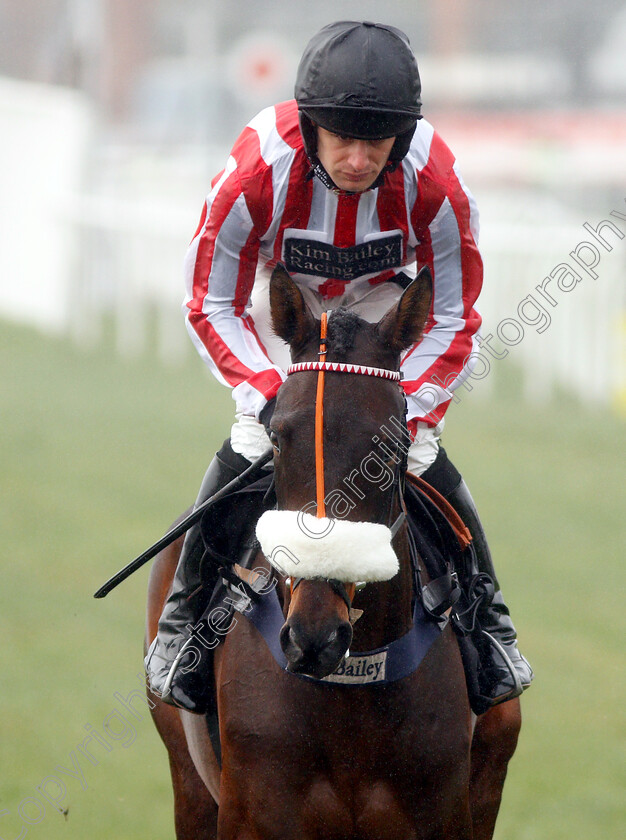 Diamond-Gait-0001 
 DIAMOND GAIT (David Bass)
Newbury 1 Dec 2018 - Pic Steven Cargill / Racingfotos.com