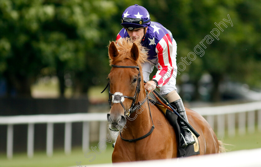 D-Day-Arvalenreeva-0002 
 D DAY ARVALENREEVA (Kieran O'Neill)
Newmarket 1 Jul 2023 - Pic Steven Cargill / Racingfotos.com