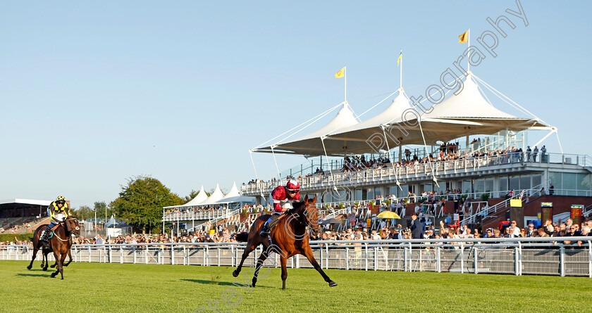 Vino-Victrix-0002 
 VINO VICTRIX (Benoit de la Sayette) wins The William Hill Scratch Of The Day Handicap
Goodwood 26 Aug 2022 - Pic Steven Cargill / Racingfotos.com