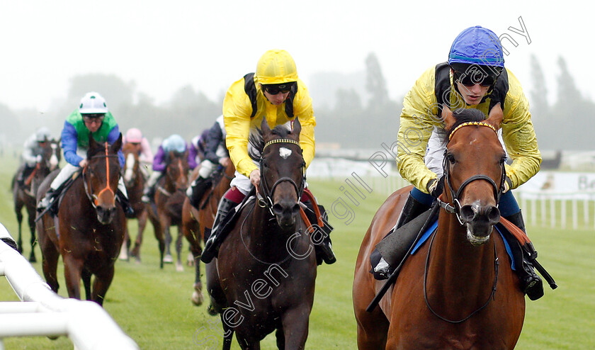 Mottrib-0004 
 MOTTRIB (David Egan) wins The Be Wiser Insurance Novice Stakes
Newbury 13 Jun 2019 - Pic Steven Cargill / Racingfotos.com