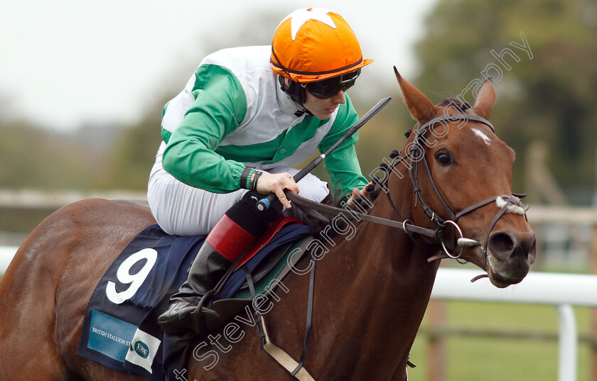 True-Self-0009 
 TRUE SELF (Colin Keane) wins The British Stallion Studs EBF Beckford Stakes
Bath 17 Oct 2018 - Pic Steven Cargill / Racingfotos.com