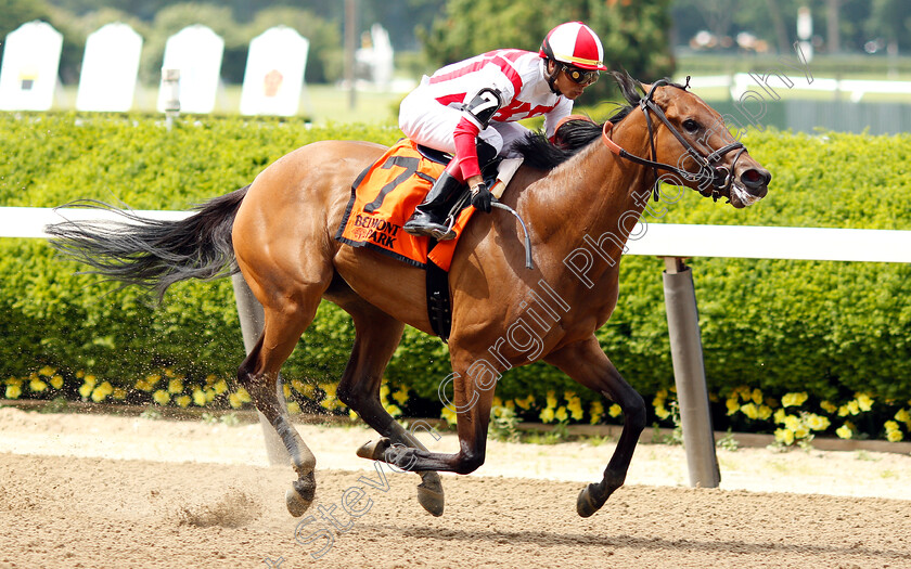 Separationofpowers-0006 
 SEPARATIONOFPOWERS (Jose Ortiz) wins The Bed O'Roses Invitational
Belmont Park USA 7 Jun 2019 - Pic Steven Cargill / Racingfotos.com