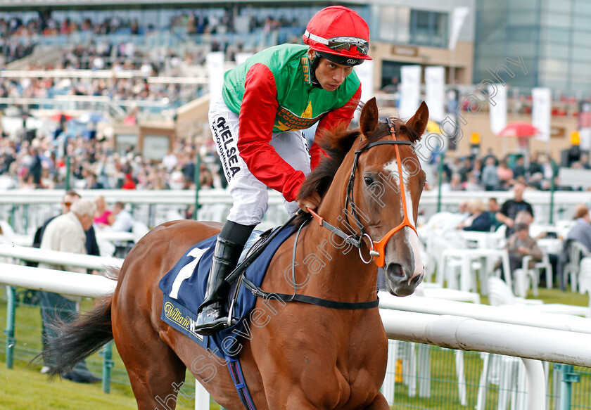 Billesdon-Brook-0001 
 BILLESDON BROOK (Sean Levey) Doncaster 14 Sep 2017 - pic Steven Cargill / Racingfotos.com