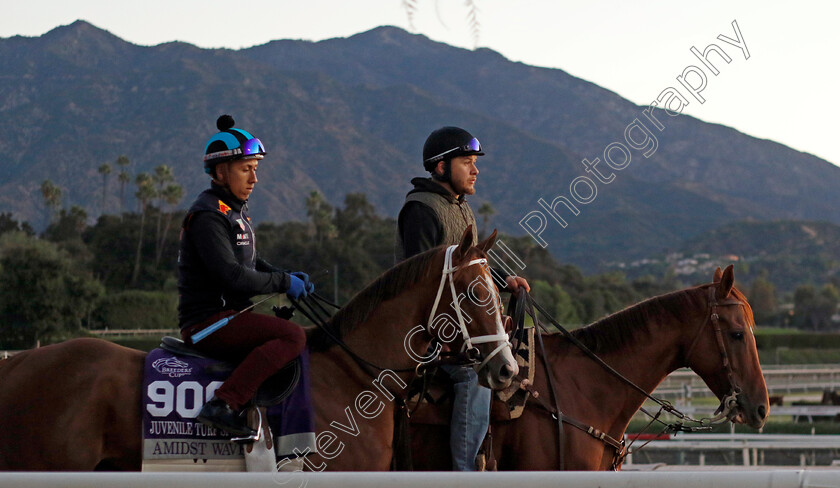 Amidst-Waves-0001 
 AMIDST WAVES training for The Breeders' Cup Juvenile Turf Sprint
Santa Anita USA, 31 October 2023 - Pic Steven Cargill / Racingfotos.com