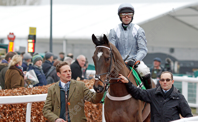 Santini-0001 
 SANTINI (Nico de Boinville) winner of The Paddy Power Cotswold Chase
Cheltenham 25 Jan 2020 - Pic Steven Cargill / Racingfotos.com