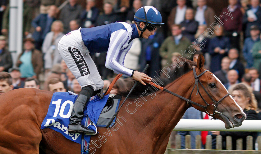 Feliciana-De-Vega-0005 
 FELICIANA DE VEGA (Harry Bentley) wins The Darley Stakes
Newmarket 12 Oct 2019 - Pic Steven Cargill / Racingfotos.com