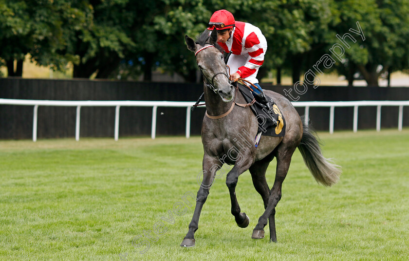 Ashky-0002 
 ASHKY (William Buick) winner of The Turners Handicap
Newmarket 30 Jul 2022 - Pic Steven Cargill / Racingfotos.com