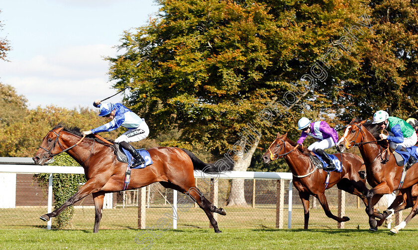 Stormwave-0003 
 STORMWAVE (Harry Bentley) wins The PKF Francis Clark EBF Novice Stakes Div2
Salisbury 3 Oct 2018 - Pic Steven Cargill / Racingfotos.com