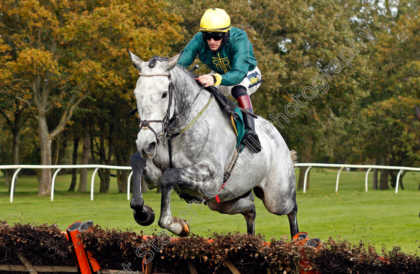 Elmdale-0001 
 ELMDALE (Sam Twiston-Davies)
Fakenham 16 Oct 2020 - Pic Steven Cargill / Racingfotos.com