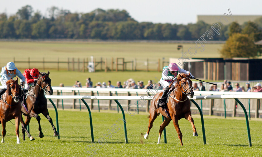 Boltaway-0002 
 BOLTAWAY (James Doyle) wins The Discover Newmarket Handicap
Newmarket 23 Sep 2021 - Pic Steven Cargill / Racingfotos.com