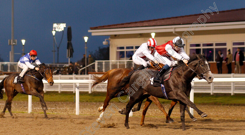 Newbolt-0002 
 NEWBOLT (Rob Hornby) wins The totepool Cashback Club At totesport.com Novice Stakes Div1
Chelmsford 25 Nov 2019 - Pic Steven Cargill / Racingfotos.com