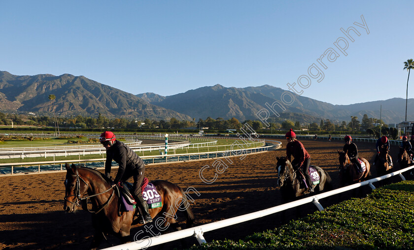 Bolshoi-Ballet-and-Auguste-Rodin-0001 
 BOLSHOI BALLET leads AUGUSTE RODIN (centre) training at the Breeders' Cup
Santa Anita 2 Nov 2023 - Pic Steven Cargill / Racingfotos.com