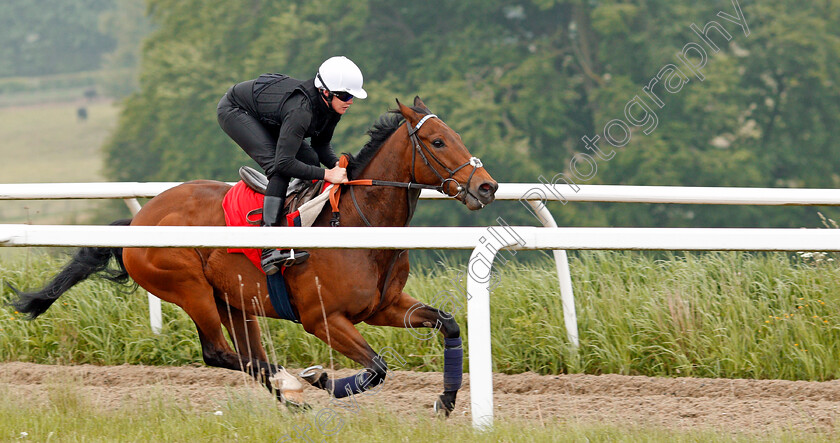 Battaash-0004 
 BATTAASH (Michael Murphy) exercising on the gallops of Charlie Hills, Lambourn 23 May 2018 - Pic Steven Cargill / Racingfotos.com