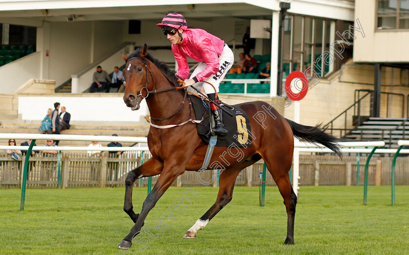 Sons-And-Lovers-0007 
 SONS AND LOVERS (David Egan) winner of The Virgin Bet Daily Price Boost Maiden Stakes
Newmarket 7 Oct 2023 - Pic Steven Cargill / Racingfotos.com