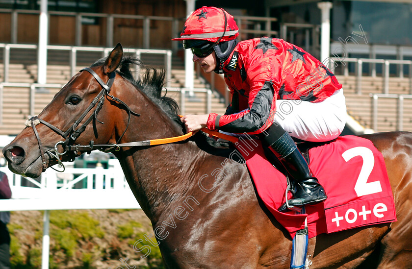 Paws-For-Thought-0002 
 PAWS FOR THOUGHT (Richard Kingscote) wins The tote+ Pays You More At tote.co.uk Handicap
Chester 5 May 2021 - Pic Steven Cargill / Racingfotos.com