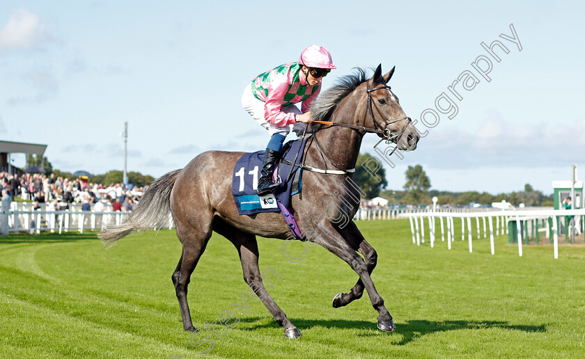 Technique-0001 
 TECHNIQUE (William Buick)
Yarmouth 15 Sep 2021 - Pic Steven Cargill / Racingfotos.com