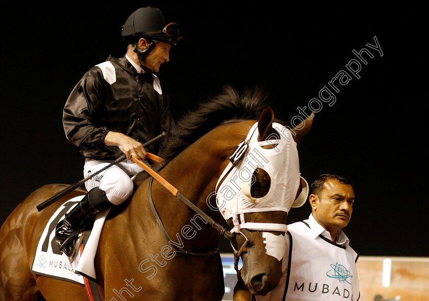 Nitro-0001 
 NITRO (Dane O'Neill)
Meydan 10 Jan 2019 - Pic Steven Cargill / Racingfotos.com