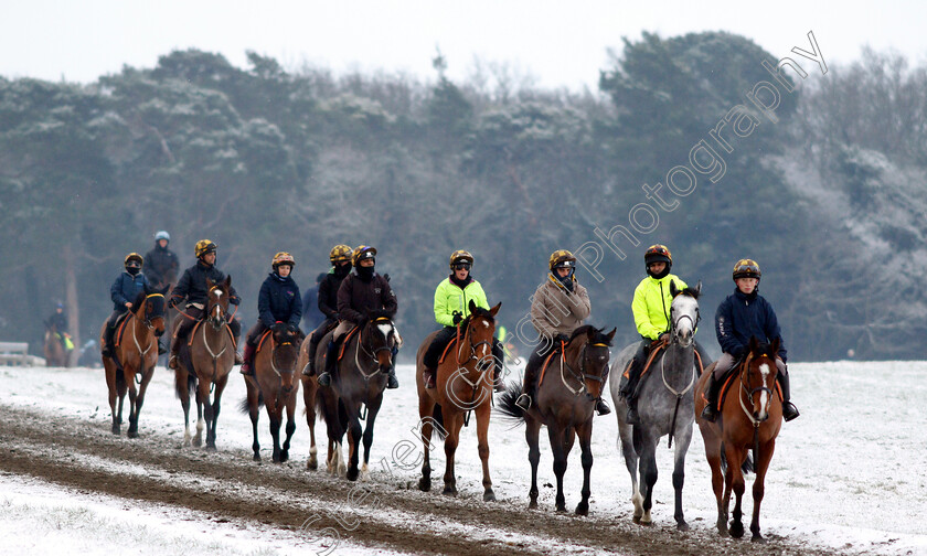 Newmarket-Snow-0004 
 Racehorses training in the snow at Newmarket
1 Feb 2019 - Pic Steven Cargill / Racingfotos.com