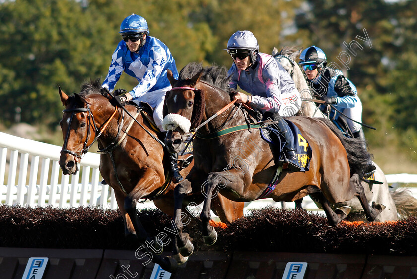 Throne-Hall-0002 
 THRONE HALL (Nick Scholfield) finishing 2nd in H M Drottningens Pris
Bro Park, Sweden 17 Sep 2023 - Pic Steven Cargill / Racingfotos.com