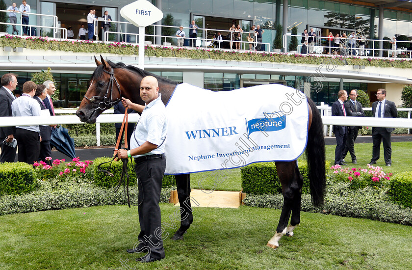 Blue-De-Vega-0007 
 BLUE DE VEGA after The Neptune Investment Management Handicap
Ascot 27 Jul 2018 - Pic Steven Cargill / Racingfotos.com