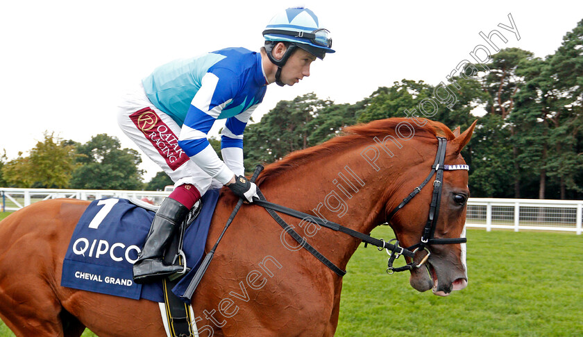 Cheval-Grand-0001 
 CHEVAL GRAND (Oisin Murphy)
Ascot 27 Jul 2019 - Pic Steven Cargill / Racingfotos.com