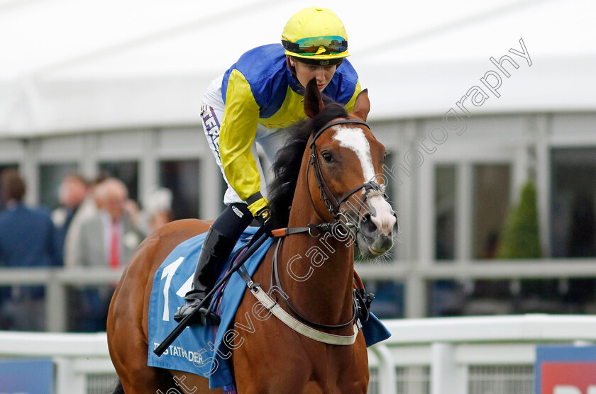 Canoodled-0001 
 CANOODLED (Saffie Osborne)
Epsom 31 May 2024 - Pic Steven Cargill / Racingfotos.com