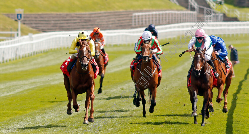 El-Drama-0005 
 EL DRAMA (left, Andrea Atzeni) beats MAXIMAL (right) in The tote+ Biggest Dividends At tote.co.uk Dee Stakes
Chester 6 May 2021 - Pic Steven Cargill / Racingfotos.com