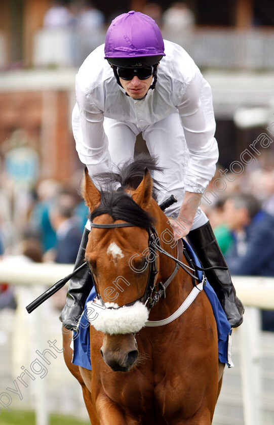 Charming-Kid-0001 
 CHARMING KID (Barry McHugh)
York 15 Jun 2019 - Pic Steven Cargill / Racingfotos.com